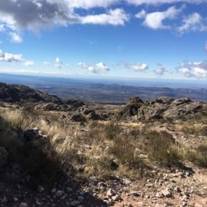 Meet your Posher, Deborah